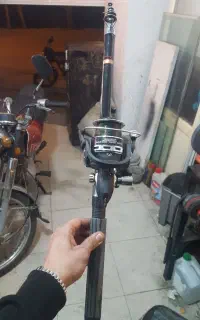 لنسر
