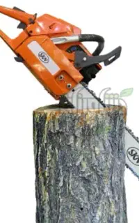 برش و قطع درختان