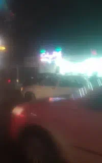 تور ماهی گیری۲۱ پان سبز رنگ