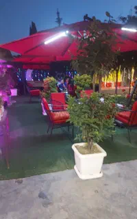 خانم جهت کار کافه رستوران