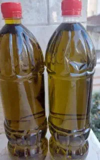 محصولات اصل گیلان