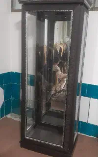 ویترین سالم