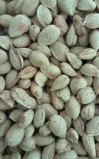 بادام دو پوست ، فرانیس
