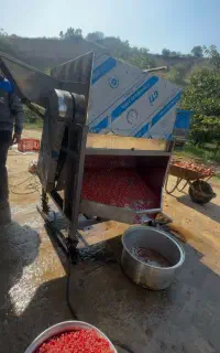 دانه کردن انار با دستگاه