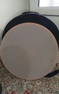 دف حبیبی نوجوان