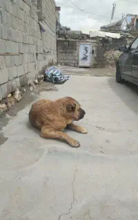 با سلام و سپاس