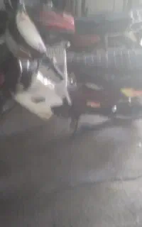 کاوازاکی ۱۰۰ کلکسیونی