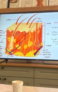 ثبت نام اموزش پاکسازی و‌مراقبت پوست (اقساط ۳ ماهه)