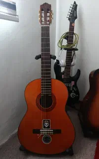 گیتار و سیم گیتار