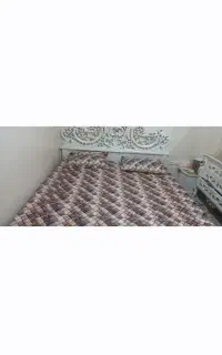 چوب راش
