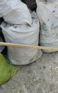 کفتر