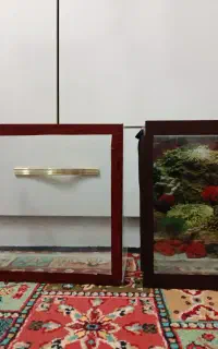 آکواریوم