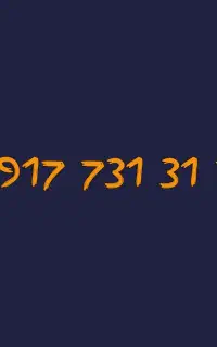 09177313171