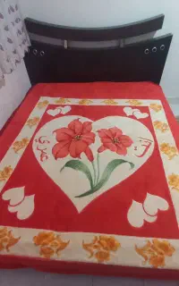 تخت دونفره به همراه تشک ودوتاپاتختی