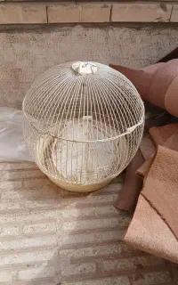 موکت و پشتی و سنگ توالت و...