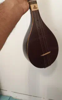 سه تار زیبا و فاخر ، نو