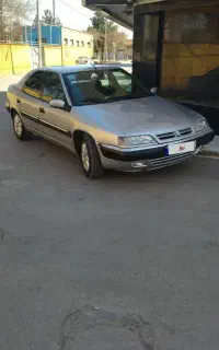 زانتیاسالم،فابریم