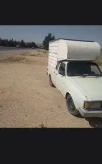 وانت سالمون مفت