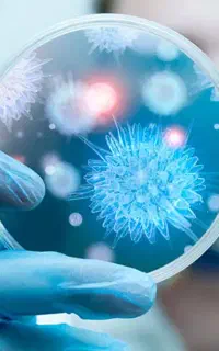 آکادمی تحصیلی و روان‌شناختی «رایکا»