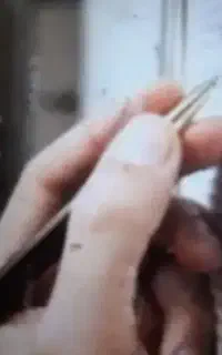 دعا...صدرصد تضمینی
