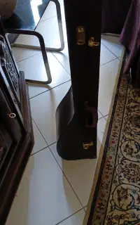 کیس جابجایی تنبور