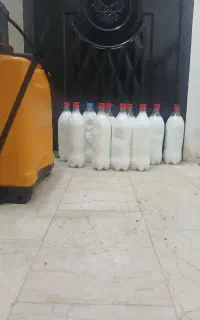 سم ساس سوسک