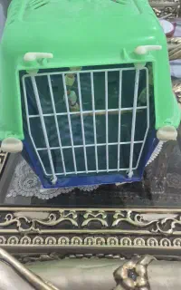 قفس حیوانات