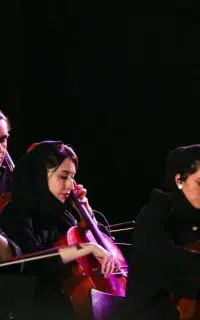 همکاری هنری موسیقی ،همسو با پروژه