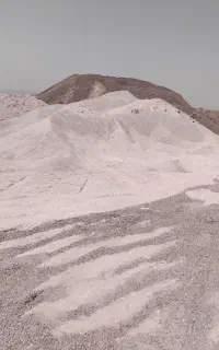 پوکه سفیدوشن وماسه وبیس