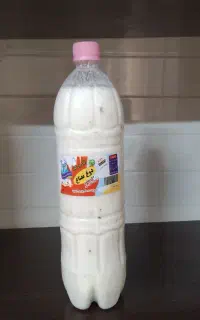 پخش لبنیات محلی