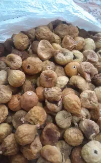 انجیر تمیز