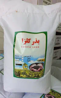 بذر کلزا دلگان هایولا