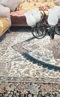 لوستر در حد نو