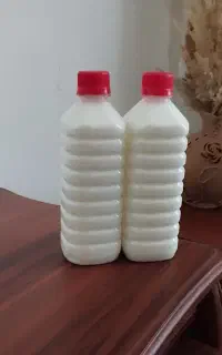 شیر الاغ تازه حضوری