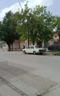 پیکان دوگانه مدل 82