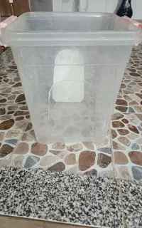 تعدادی سطل شفاف به فروش می رسد