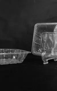 ظرف یکبار مصرف گوشت (عمده)