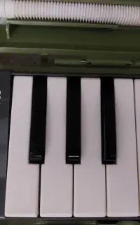 ملودیکا سوزوکی