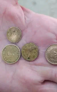 سکه