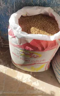 خوراک دام طیور