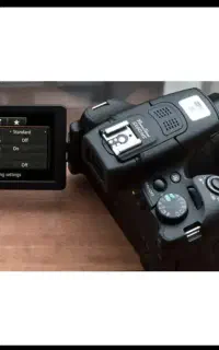 canon sx60