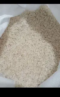 برنج ایرانی فجر سوزنی گرگان