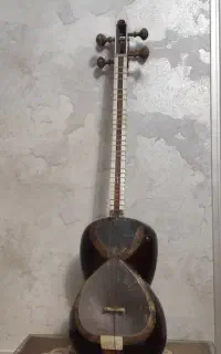 تار حرفه ای