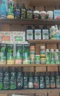 ماهی گوشت خوار وارداتی