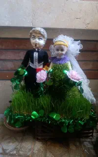 سبزه طبیعی برای مراسمات