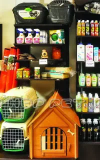 پت شاپ پتینو لوازم جانبی و غذای حیوانات