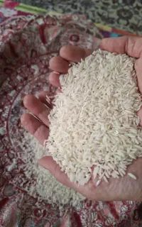 برنج هاشمی