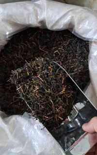 چای تازه و خوش‌عطر