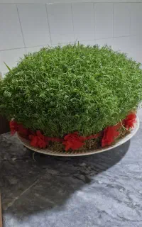 سبزه فروشی