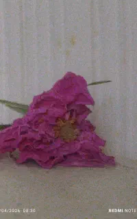 طرح‌های اختصاصی تتو و پوستر با ضمانت کیفیت